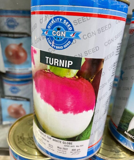 TURNIP