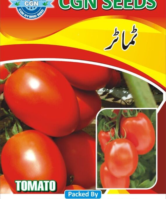 CGN TOMATO ROMA