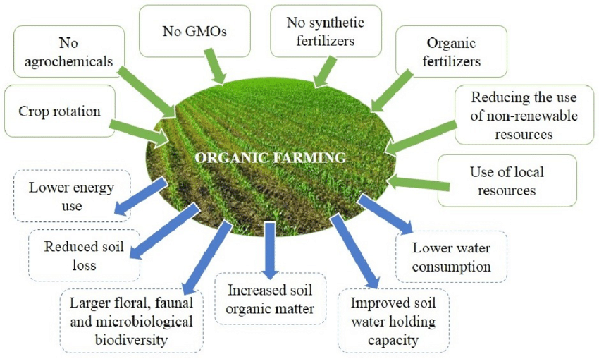 Organic Solution